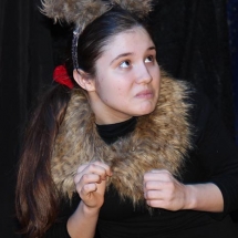 Театральная Студия им. Н.В. Гоголя_ Рождественская Мистерия_Спектакль_ Бык Осел и Звезда (2)