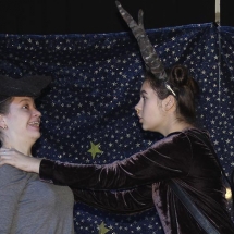 Театральная Студия им. Н.В. Гоголя_ Рождественская Мистерия_Спектакль_ Бык Осел и Звезда (3)