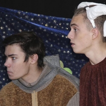 Театральная Студия им. Н.В. Гоголя_ Рождественская Мистерия_Спектакль_ Бык Осел и Звезда (4)